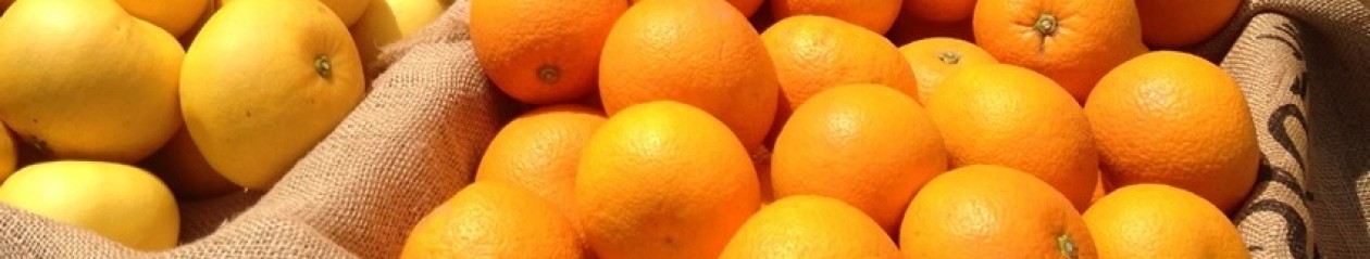 オレンジアーチの社長ブログ